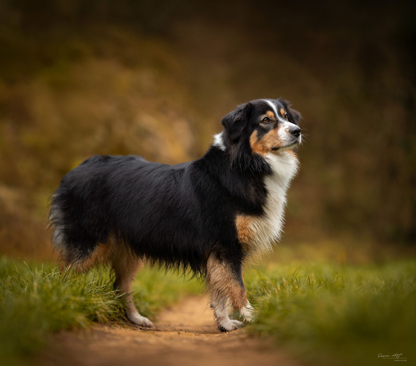 Ulysse (Sans Affixe)